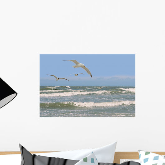 Seagulls