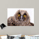Bird Owl Wall Mural