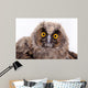 Bird Owl Wall Mural