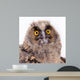 Bird Owl Wall Mural