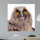 Bird Owl Wall Mural