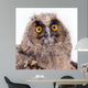Bird Owl Wall Mural