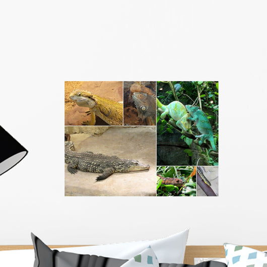 Reptile Wall Mural