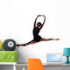 Female Ballet Dancer