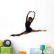 Female Ballet Dancer