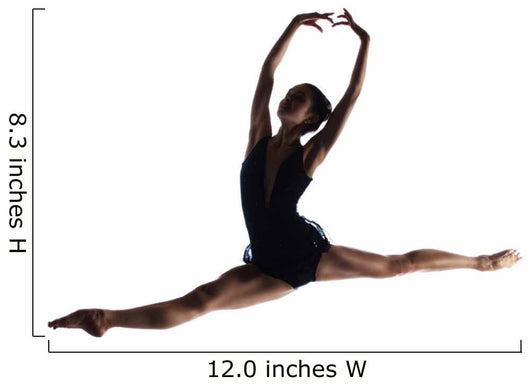 Female Ballet Dancer