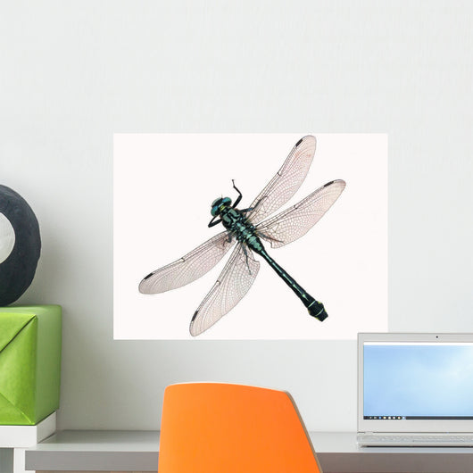 Dragonfly Wall Decal