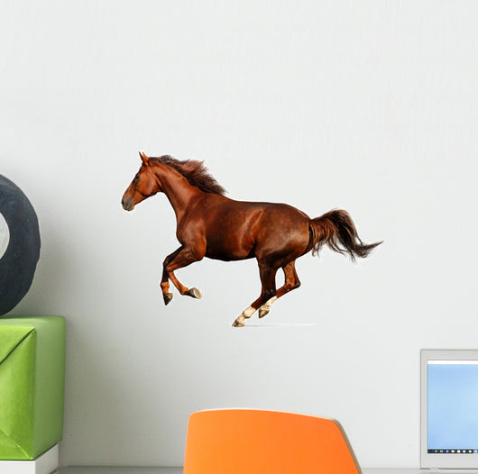 Gallop Horse Wall Decal