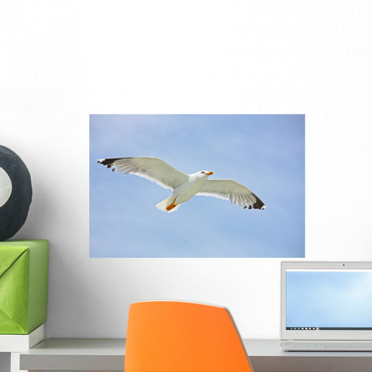 Seagull Flight