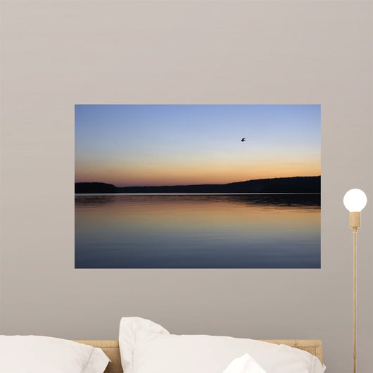 bird and sinset Wall Mural