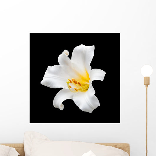 White flower Wall Mural