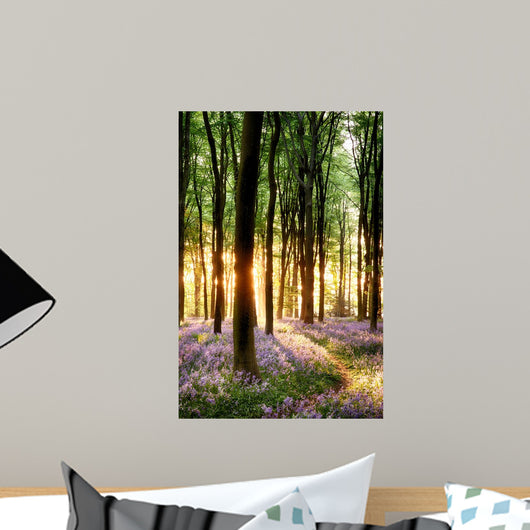 Bluebells Sunrise Light