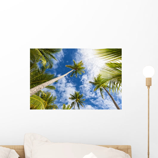 Palm Tree and Sky