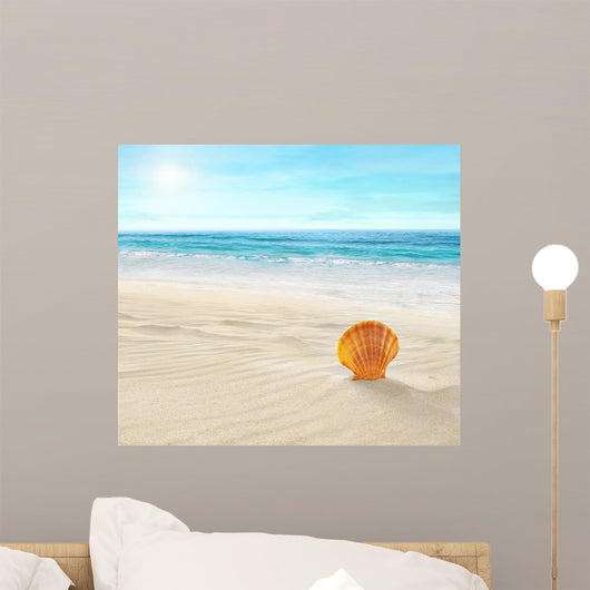 Shell Tropical Beach