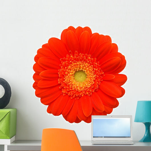 red gerber Wall Decal