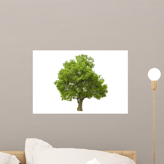 Tree with White
