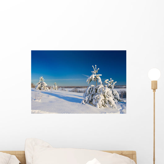 Winter wood landscape with a snow on branches Wall Mural
