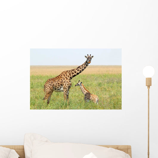 Baby Giraffe and Mother