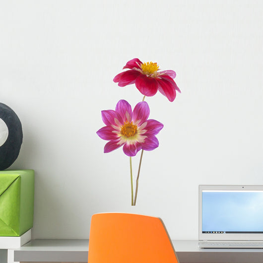 dahlia Wall Decal