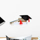 Grad Hat with Diploma