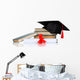 Grad Hat with Diploma