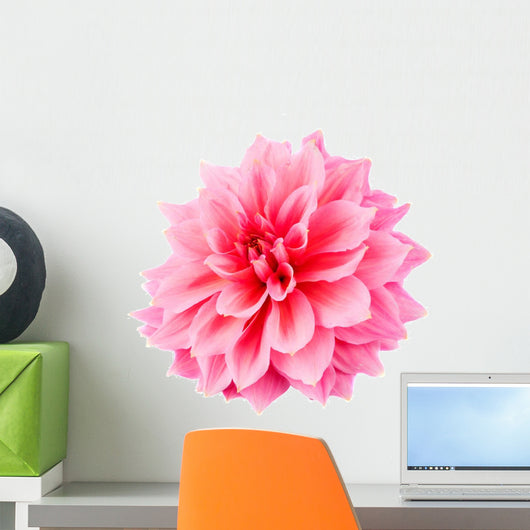 Pink Dahlia Wall Decal