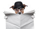 British dog reading Wall Decal