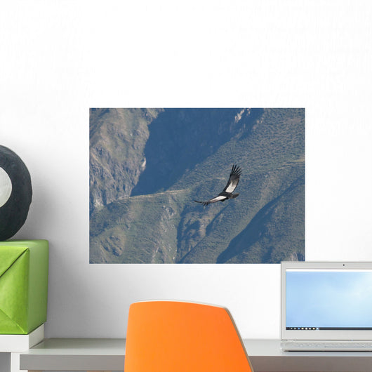 Flying condor in the Colca canyon,Peru Wall Mural