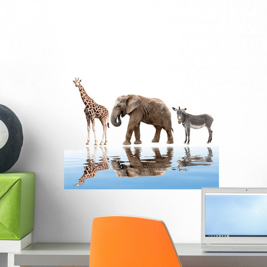 Giraffes Elephant and Zebras