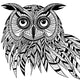 Owl bird head as halloween symbol for mascot or emblem design, s Wall Decal