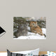 Screech Owls Wall Mural
