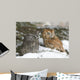 Screech Owls Wall Mural