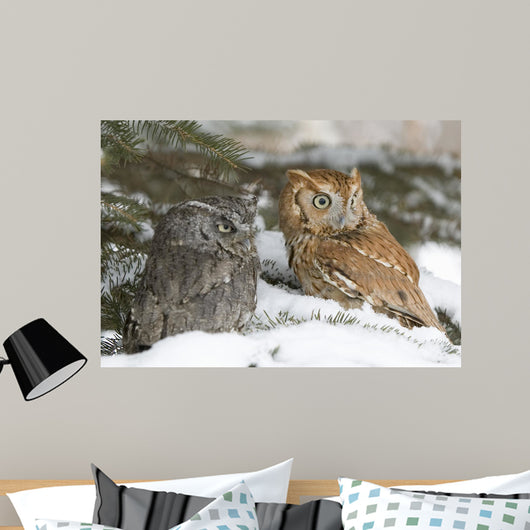 Screech Owls Wall Mural