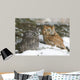 Screech Owls Wall Mural