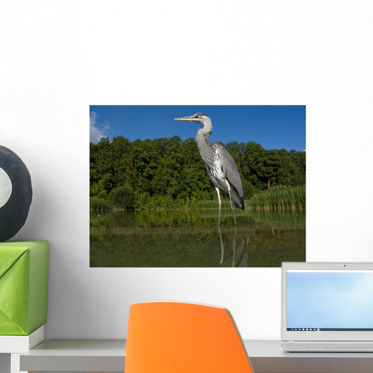 Grey Heron Ardea Cinerea Wall Mural
