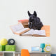 Reading Dog Wall Mural