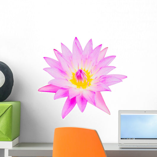 Purple Lotus