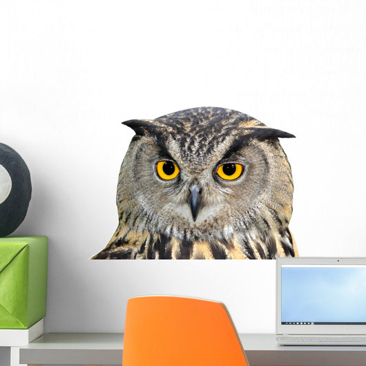 Eagle Owl Bubo Bubo Wall Mural