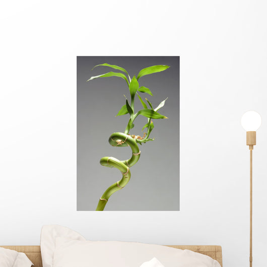 Bamboo Plant Wall Mural