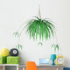 Spider Plant Hanging Plant