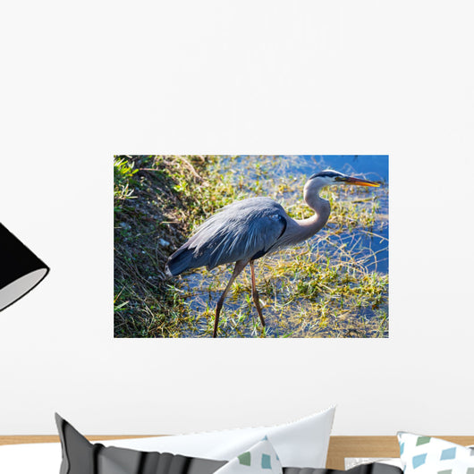 Heron Everglades Wall Mural