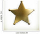 Sheriff star icon Wall Decal