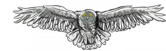 Owl Painted Wall Decal