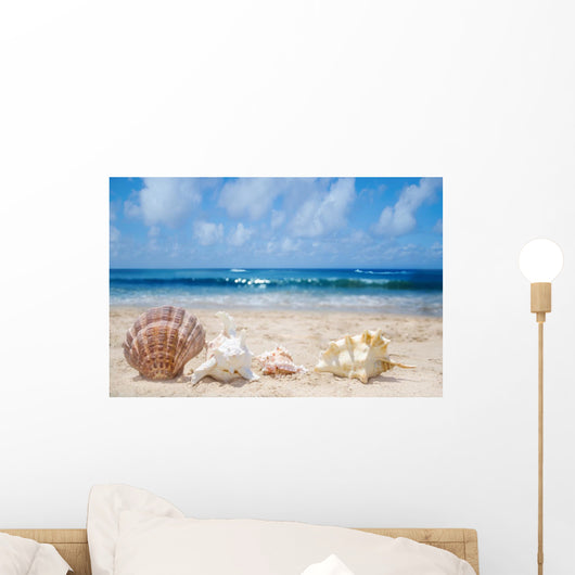 Seashells Beach