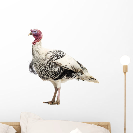 White Turkey Wall Decal