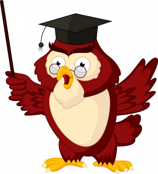 Cartoon of pointing wise owl Wall Decal