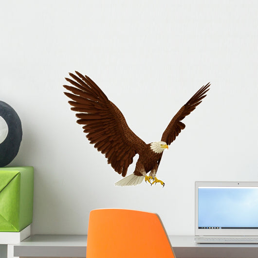 Eagle Fly
