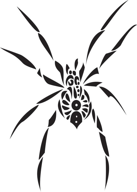 Spider