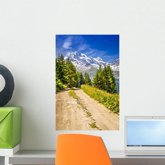 Path in the mountains - French Alps Wall Mural