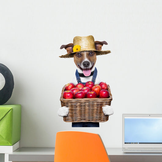 Farmer Dog